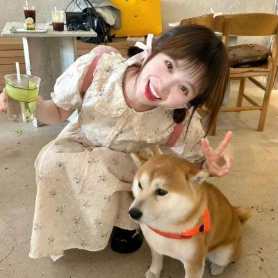 金猪玉叶
